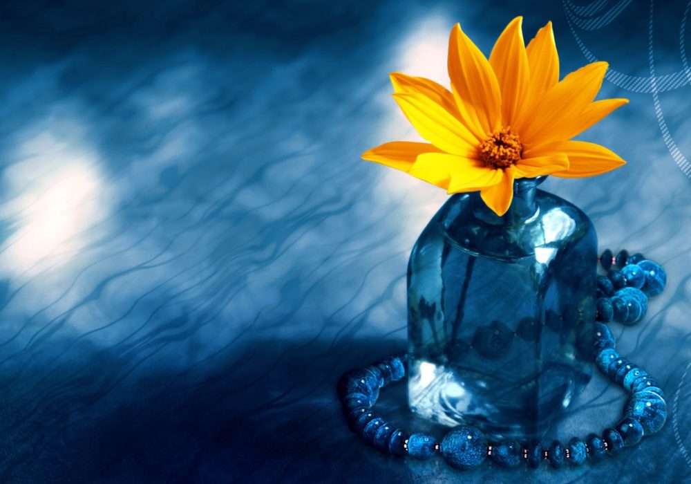 Gele bloem in glazen vaas op blauwe achtergrond. Opgroeien, emoties en de ziel wacht