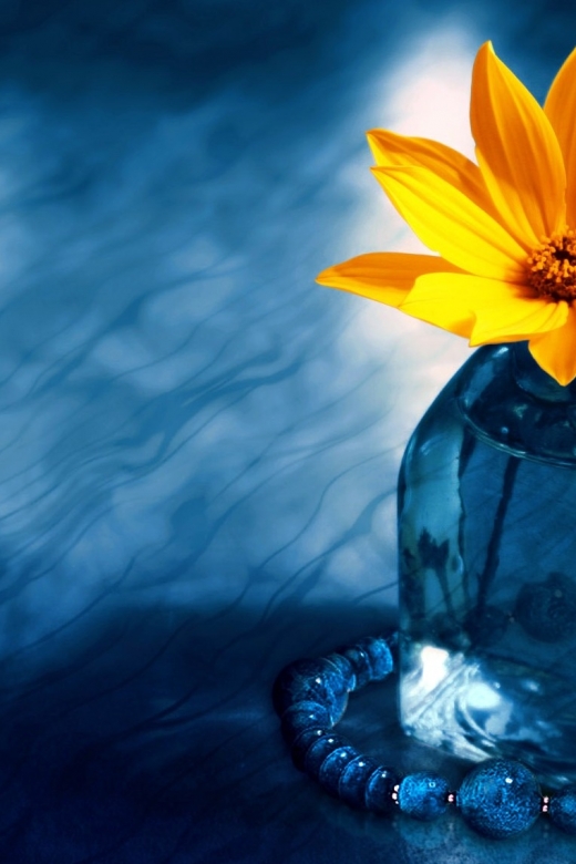 Gele bloem in glazen vaas op blauwe achtergrond. Opgroeien, emoties en de ziel wacht