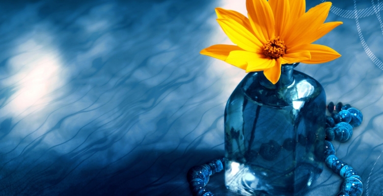 Gele bloem in glazen vaas op blauwe achtergrond. Opgroeien, emoties en de ziel wacht