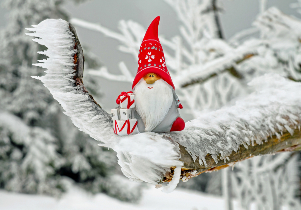 Kerstmis-tafereel: een kerskabouter op een besneeuwde tak