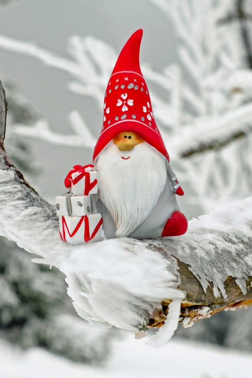 Kerstmis-tafereel: een kerskabouter op een besneeuwde tak
